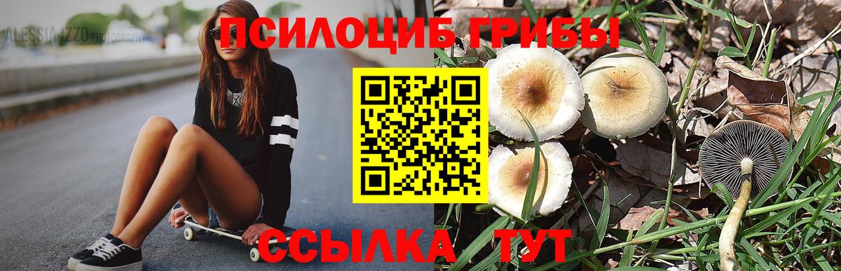 Аксай  Псилоцибиновые грибы мухоморы  Псилоцибиновые грибы Magic Shrooms  Вход с VPN 